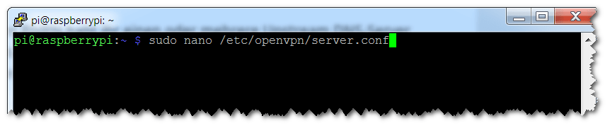 OpenVPN - Config anpassen