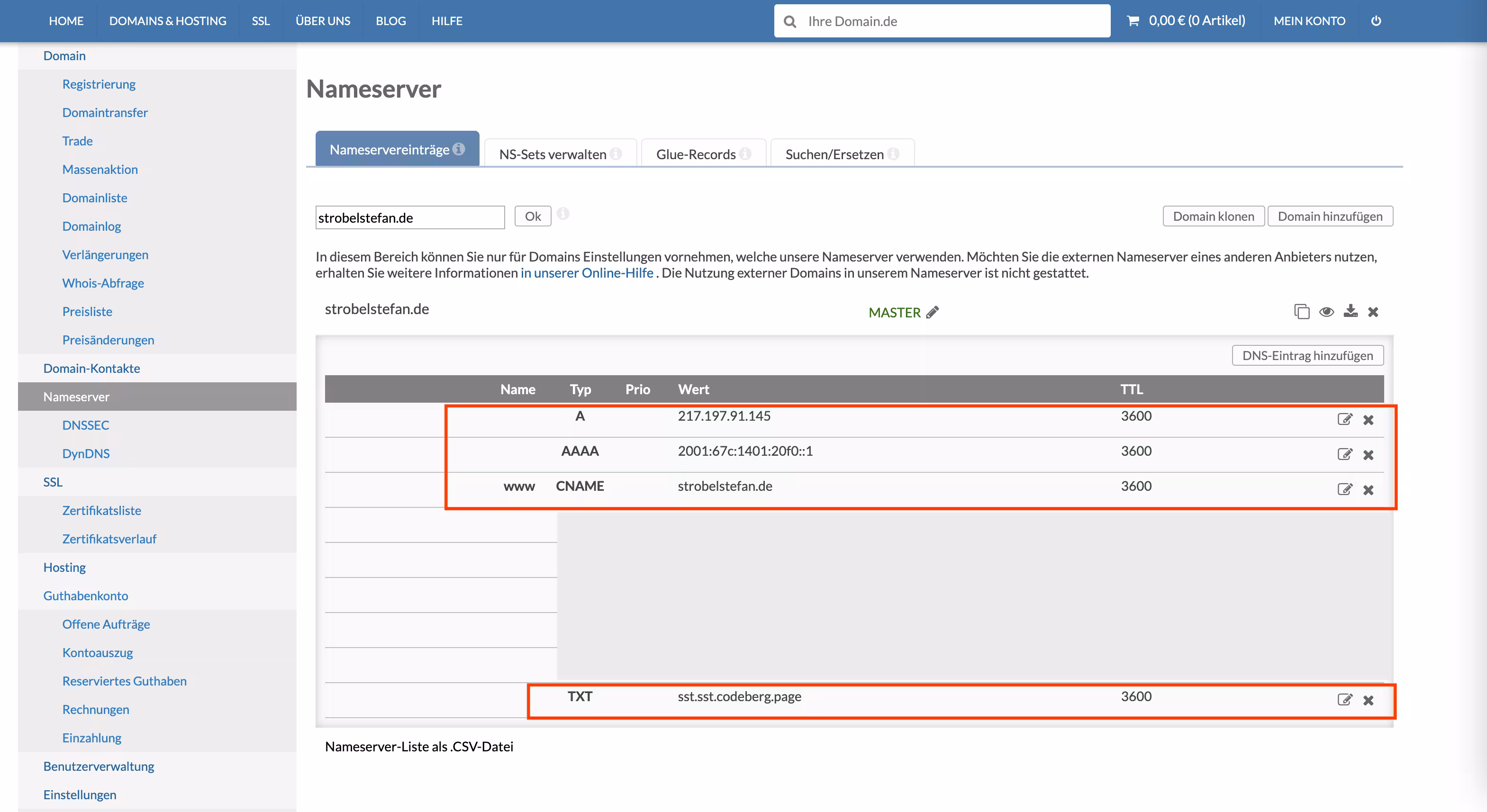 INWS DNS-Einstellungen